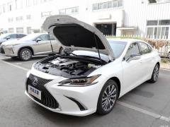 2020 300h Premium Edition 2020 300h Premium Edition Фото 76 из 175