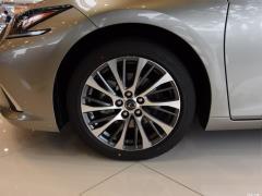 2020 300h Premium Edition 2020 300h Premium Edition Фото 179 из 266