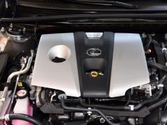 2020 300h Executive Edition 2020 300h Executive Edition Фото 107 из 266
