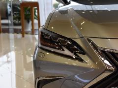 2020 300h Premium Edition 2020 300h Premium Edition Фото 169 из 266