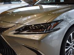 2020 300h Premium Edition 2020 300h Premium Edition Фото 175 из 266