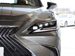2020 300h Executive Edition 2020 300h Executive Edition Фото 118 из 266