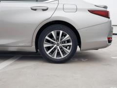 2020 300h Premium Edition 2020 300h Premium Edition Фото 62 из 266
