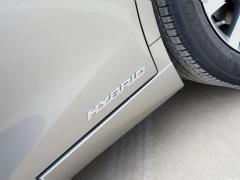 2020 300h Premium Edition 2020 300h Premium Edition Фото 61 из 266