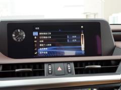 2020 300h Premium Edition 2020 300h Premium Edition Фото 200 из 498
