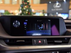 2020 300h Premium Edition 2020 300h Premium Edition Фото 252 из 498