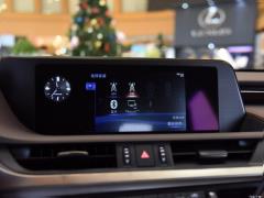 2020 300h Premium Edition 2020 300h Premium Edition Фото 250 из 498