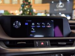2020 300h Premium Edition 2020 300h Premium Edition Фото 251 из 498
