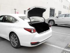 2020 300h Premium Edition 2020 300h Premium Edition Фото 329 из 498