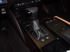 2020 300h Premium Edition 2020 300h Premium Edition Фото 259 из 498