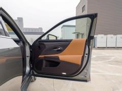 2020 300h Premium Edition 2020 300h Premium Edition Фото 441 из 498