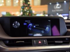 2020 300h Premium Edition 2020 300h Premium Edition Фото 253 из 498