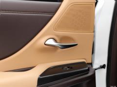 2020 300h Premium Edition 2020 300h Premium Edition Фото 318 из 498