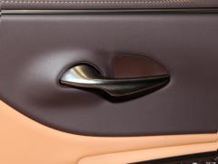 Модель 260 Excellence Edition 2020 года 2020 Model 260 Excellence Edition Фото 376 из 498