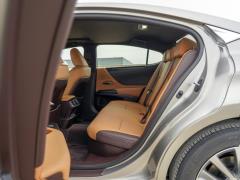 2020 300h Premium Edition 2020 300h Premium Edition Фото 424 из 498