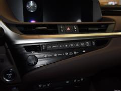 2020 300h Premium Edition 2020 300h Premium Edition Фото 255 из 498