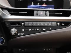 2020 300h Premium Edition 2020 300h Premium Edition Фото 50 из 498
