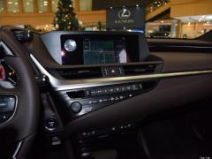 2020 300h Premium Edition 2020 300h Premium Edition Фото 246 из 498