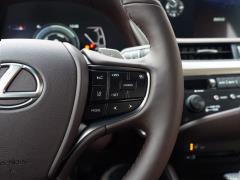 2020 300h Premium Edition 2020 300h Premium Edition Фото 178 из 498