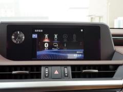 2020 300h Premium Edition 2020 300h Premium Edition Фото 190 из 498