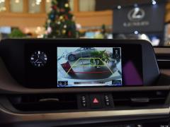 2020 300h Premium Edition 2020 300h Premium Edition Фото 254 из 498