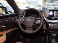 2020 300h Premium Edition 2020 300h Premium Edition Фото 39 из 498