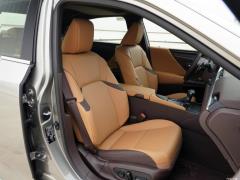 2020 300h Premium Edition 2020 300h Premium Edition Фото 440 из 498