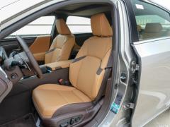 2020 300h Premium Edition 2020 300h Premium Edition Фото 409 из 498