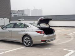 2020 300h Premium Edition 2020 300h Premium Edition Фото 455 из 498