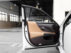 2020 300h Premium Edition 2020 300h Premium Edition Фото 300 из 498