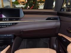 2020 300h Premium Edition 2020 300h Premium Edition Фото 219 из 498