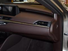 2020 300h Premium Edition 2020 300h Premium Edition Фото 263 из 498