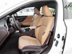 2020 300h Premium Edition 2020 300h Premium Edition Фото 288 из 498