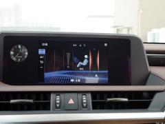 2020 300h Premium Edition 2020 300h Premium Edition Фото 193 из 498