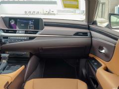 2020 300h Premium Edition 2020 300h Premium Edition Фото 162 из 498