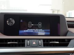 2020 300h Premium Edition 2020 300h Premium Edition Фото 192 из 498
