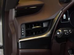 2020 300h Premium Edition 2020 300h Premium Edition Фото 236 из 498