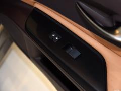 2020 300h Premium Edition 2020 300h Premium Edition Фото 487 из 498