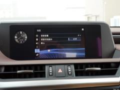 2020 300h Premium Edition 2020 300h Premium Edition Фото 201 из 498