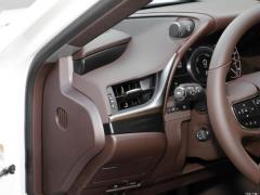 2020 300h Premium Edition 2020 300h Premium Edition Фото 31 из 498