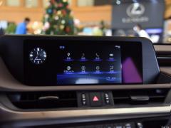 2020 300h Premium Edition 2020 300h Premium Edition Фото 248 из 498