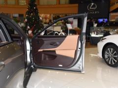 2020 300h Premium Edition 2020 300h Premium Edition Фото 485 из 498