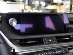 2020 300h Executive Edition 2020 300h Executive Edition Фото 82 из 204