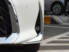2020 300h 4-х местный Royal Edition 2020 300h four-seater version Фото 33 из 147