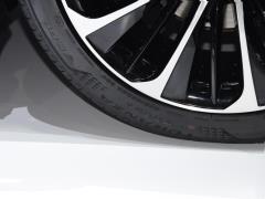 2021 год, 500-часовое издание Executive 2021 model 500h executive version Фото 31 из 49