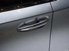 2021 год, 500-часовое издание Executive 2021 model 500h executive version Фото 27 из 49