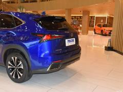2020 300h полноприводный F SPORT кантри VI 2020 300h all-wheel drive F SPORT country VI Фото 37 из 51