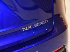 2020 300h полноприводный F SPORT кантри VI 2020 300h all-wheel drive F SPORT country VI Фото 44 из 51