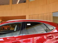 Модель 200 AWD 2020 г., Fengshang Edition, Китай VI 2020 Model 200 AWD, Fengshang Edition, China VI Фото 29 из 48