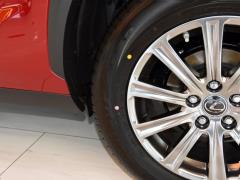Модель 200 AWD 2020 г., Fengshang Edition, Китай VI 2020 Model 200 AWD, Fengshang Edition, China VI Фото 32 из 48